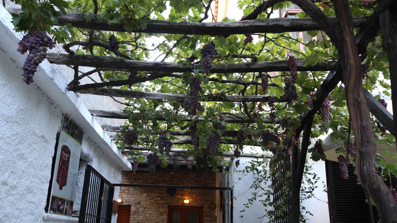 Photo of Outdoor in Afissos