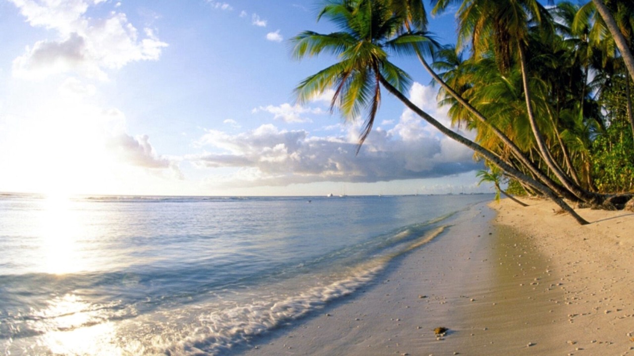 Photo of Others in Kewarra Beach