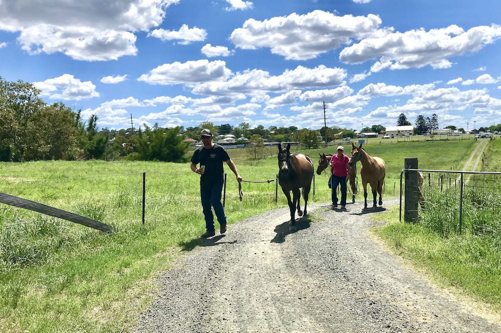 Photo of Others in Lowood