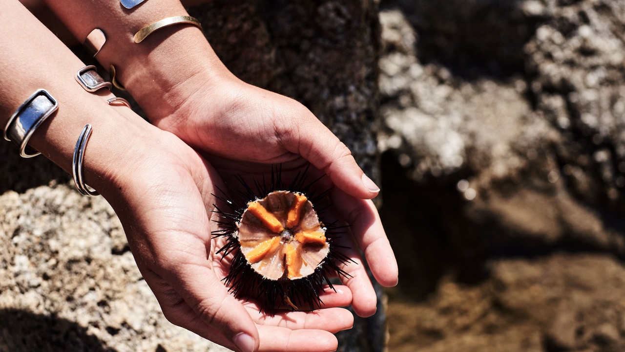Photo of Outdoor in Platis Gialos