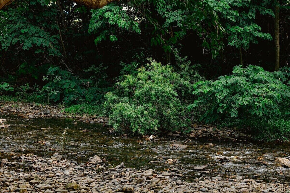 Photo of Outdoor in Mowbray