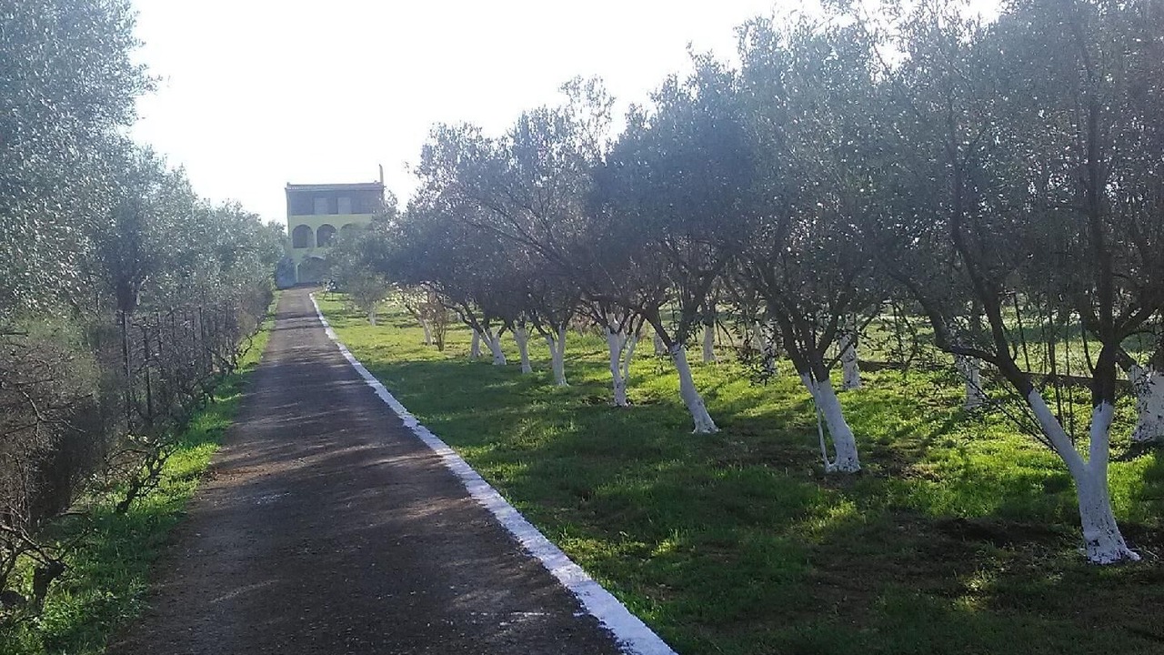 Photo of Outdoor in Chalcis
