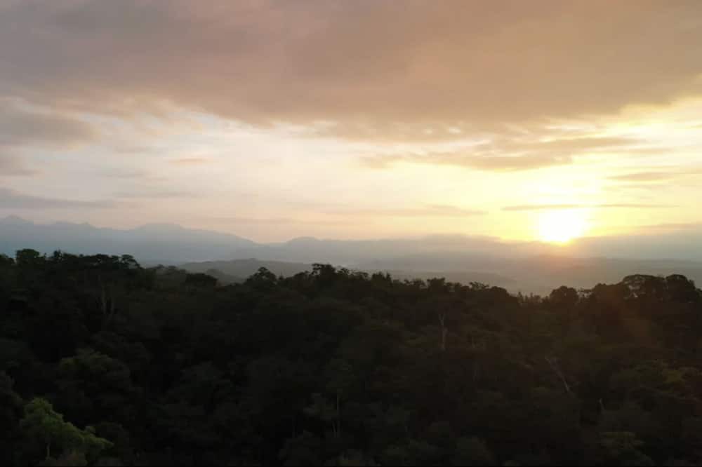 Photo of Others in Jaco