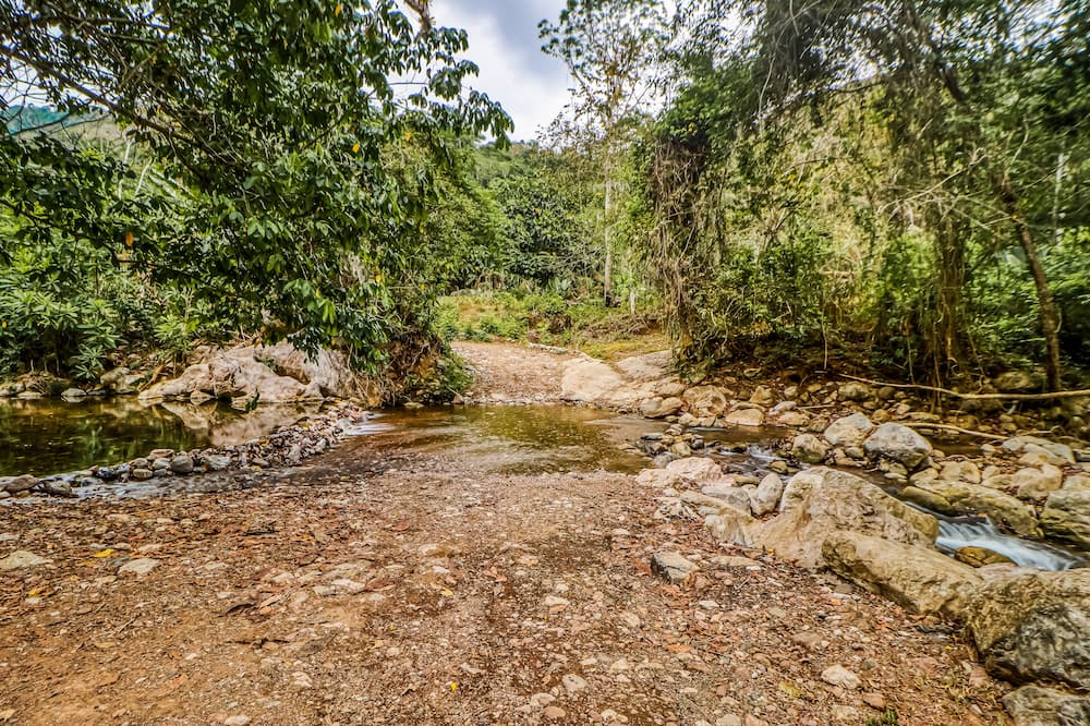 Photo of Others in Jaco