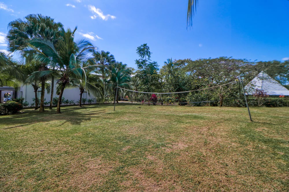 Photo of Outdoor in Damas