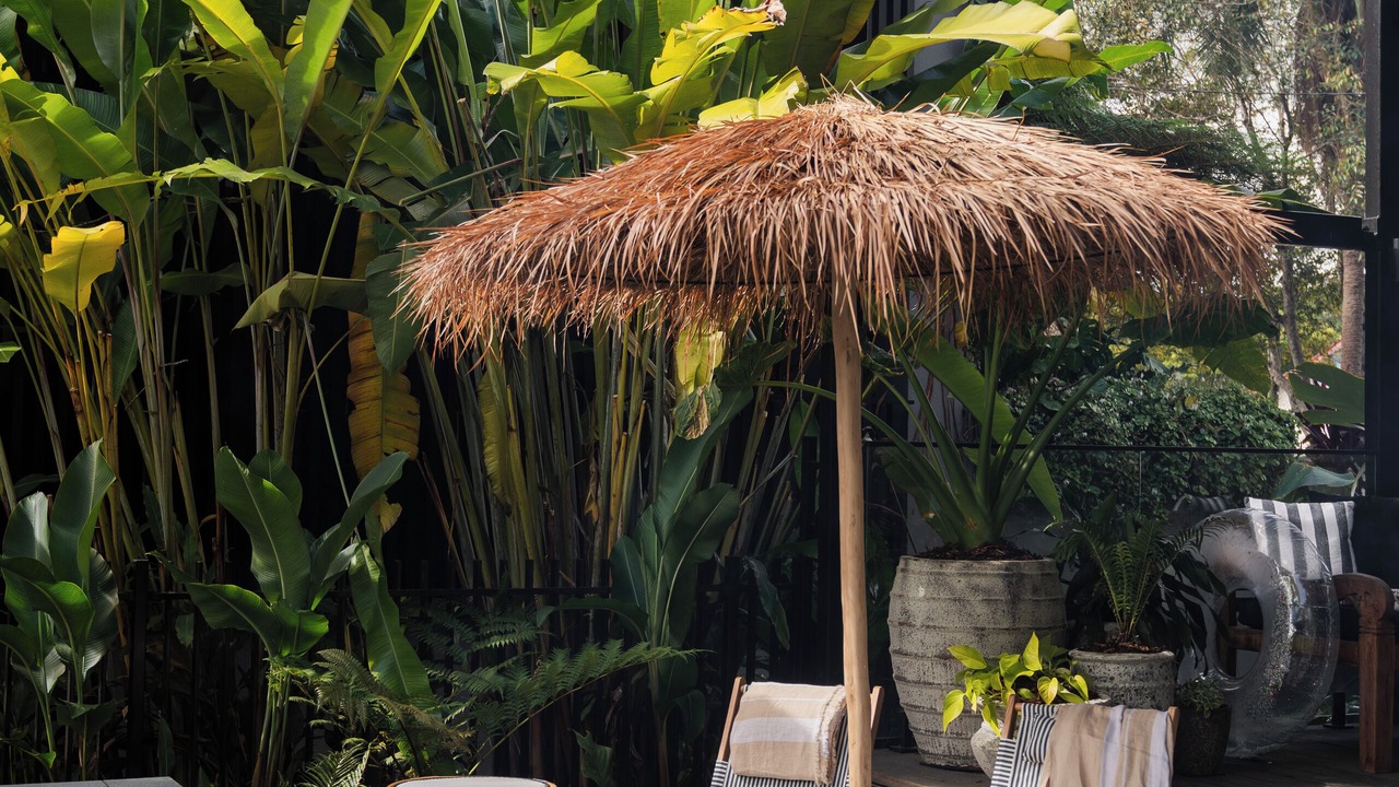 Photo of Outdoor in Eumundi