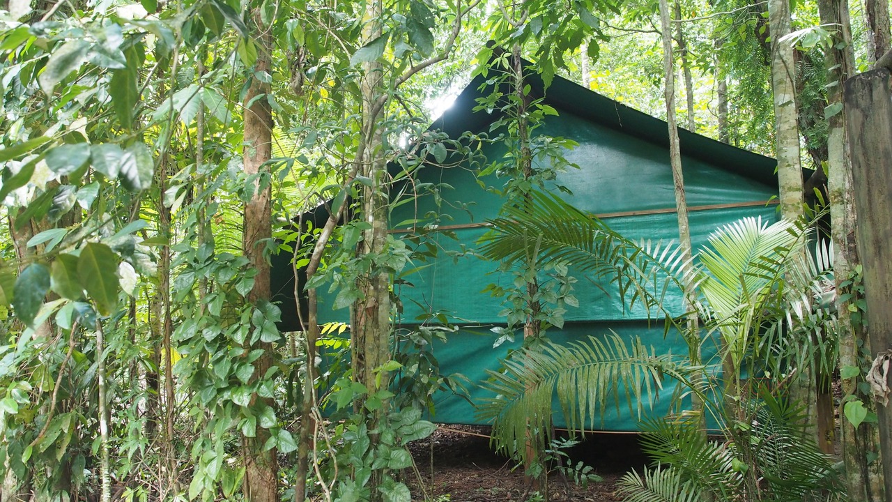 Photo of Bedroom in Cow Bay