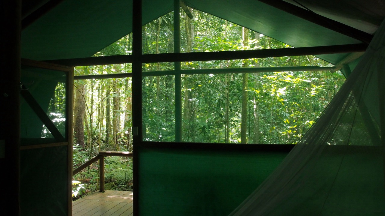 Photo of Bedroom in Cow Bay