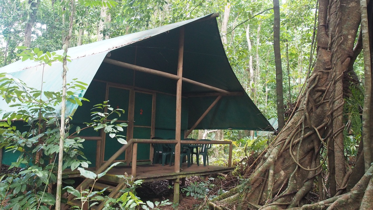 Photo of Bedroom in Cow Bay