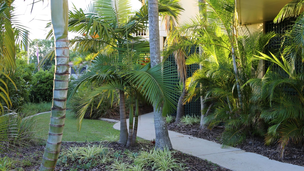 Photo of Others in Toowong