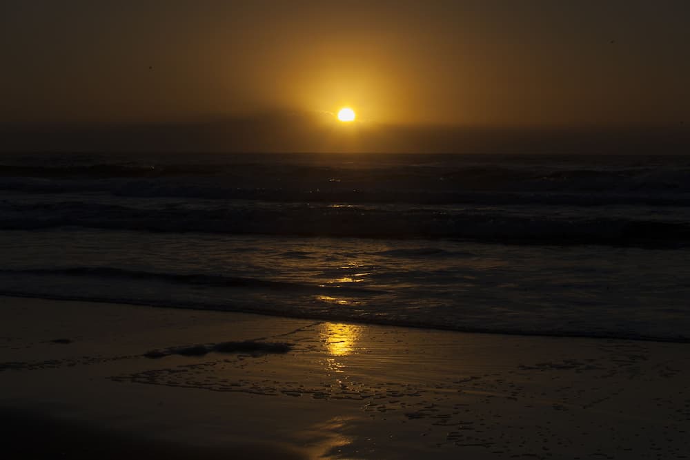 Photo of Others in Gold Coast