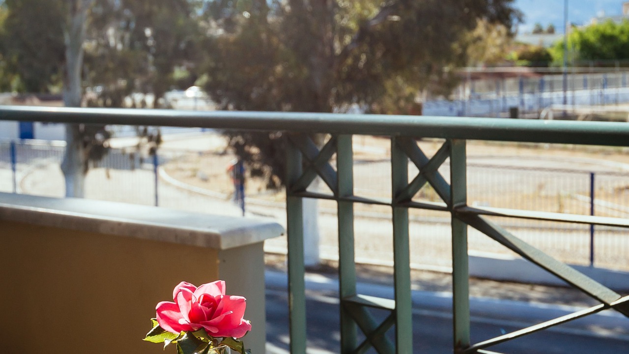 Photo of Patio Balcony in Nea Kios