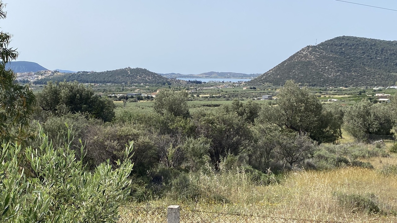 Photo of Others in Ermionida
