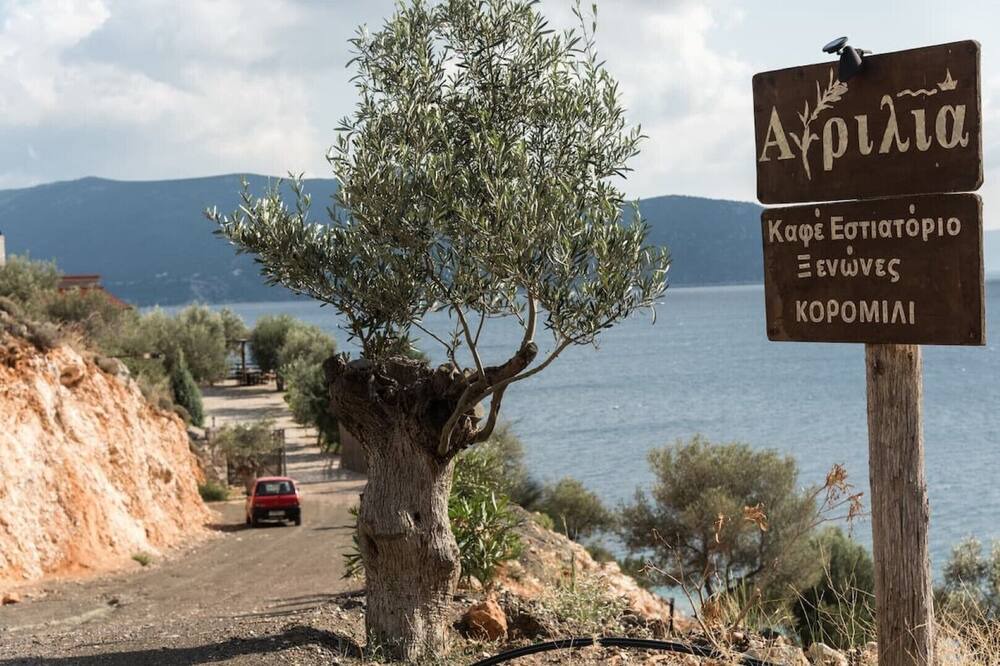 Photo of Others in Phthiotis Region
