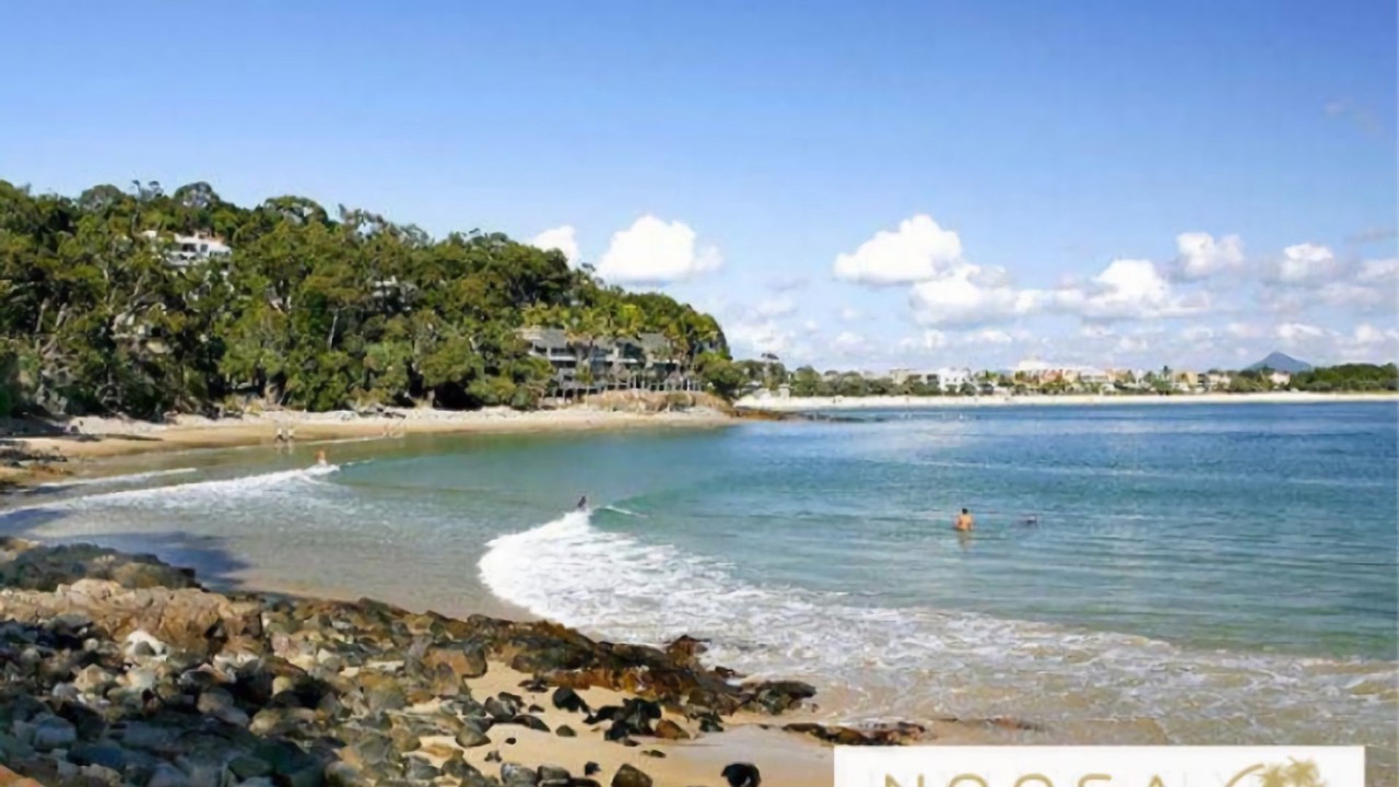 Photo of Others in Noosa Heads