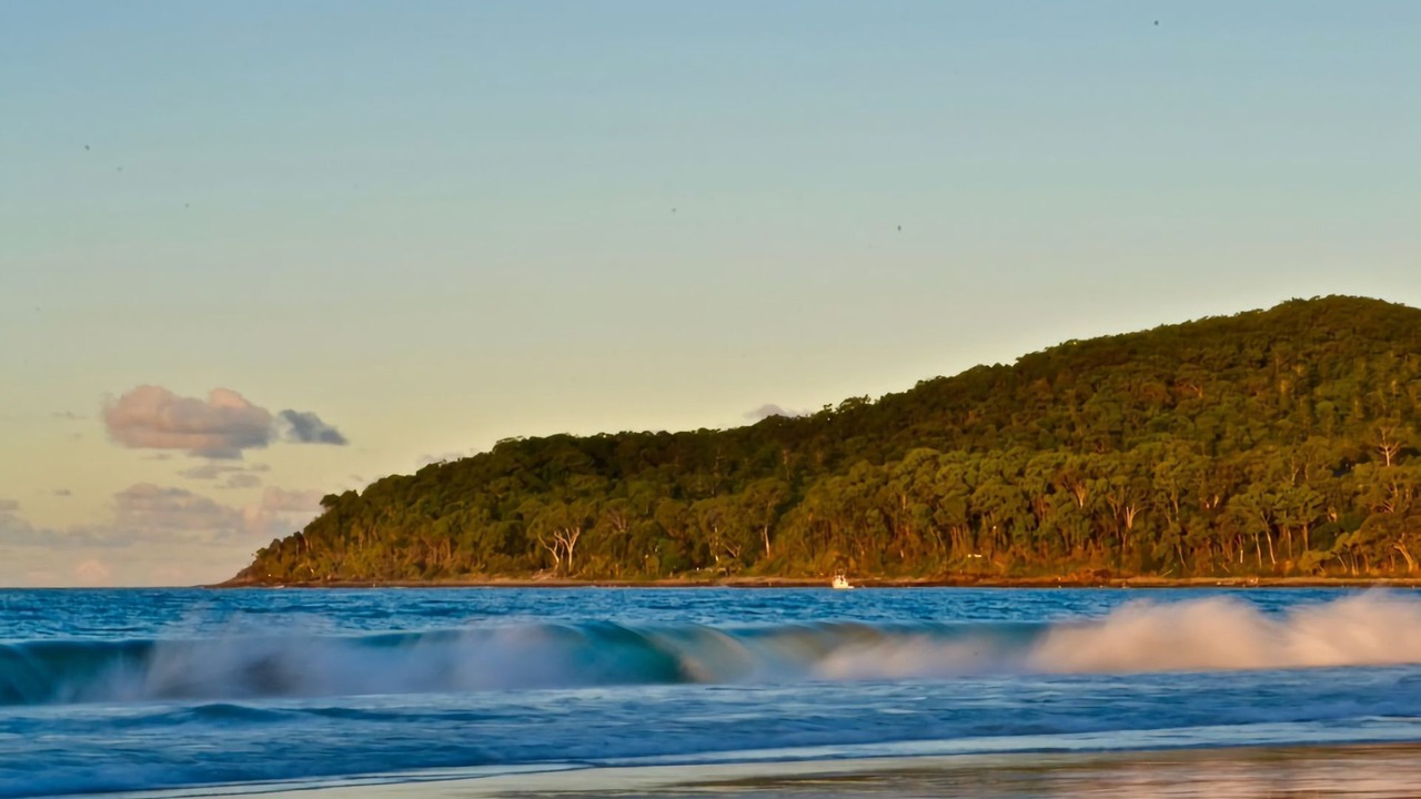 Photo of Others in Noosa Heads