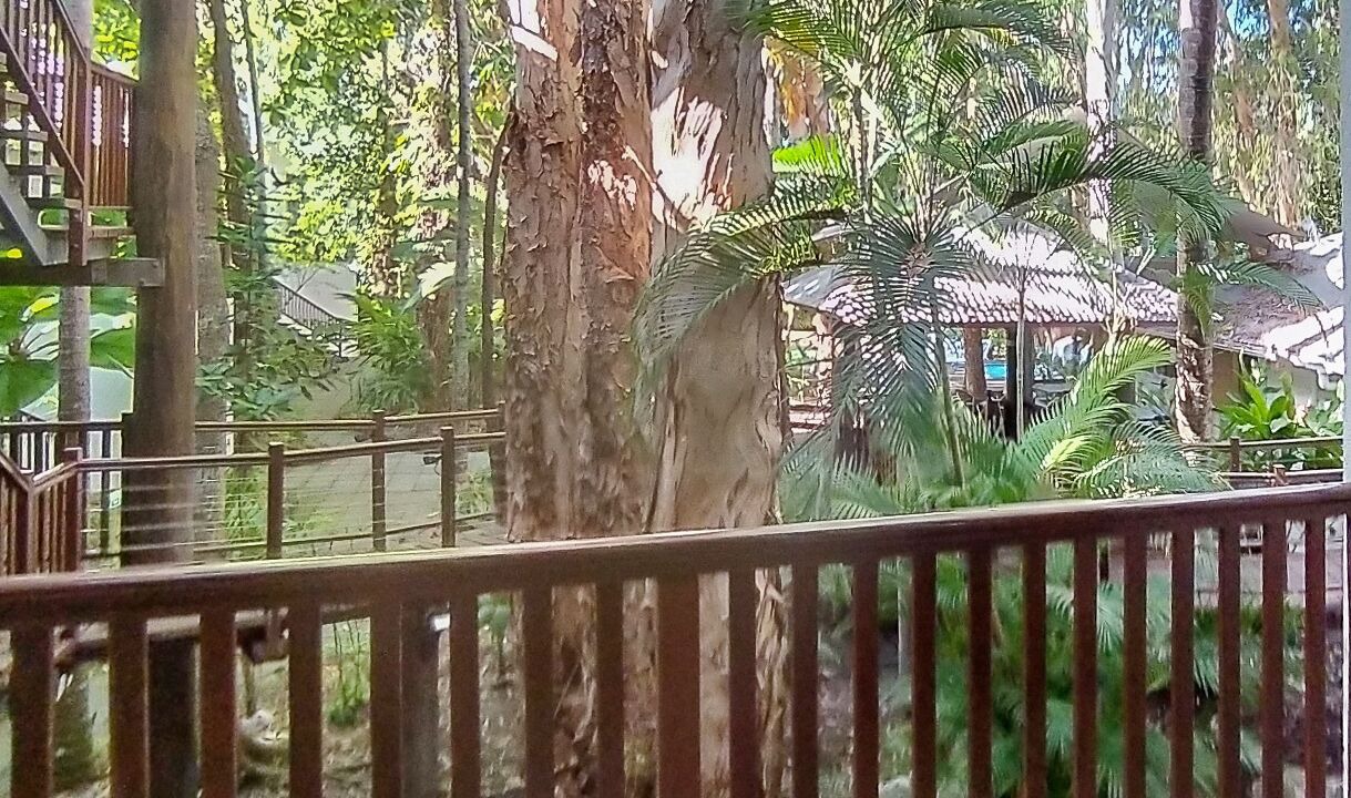 Photo of Outdoor in Palm Cove