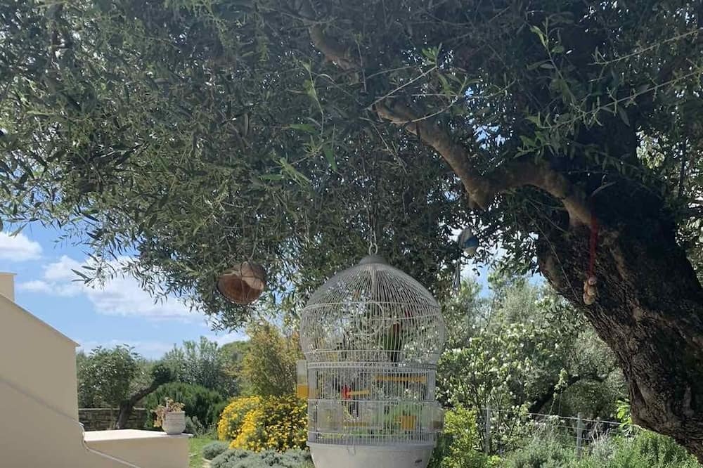 Photo of Outdoor in Tsilivi