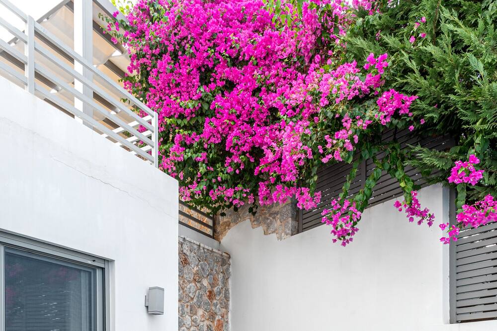 Photo of Patio Balcony in Katakali