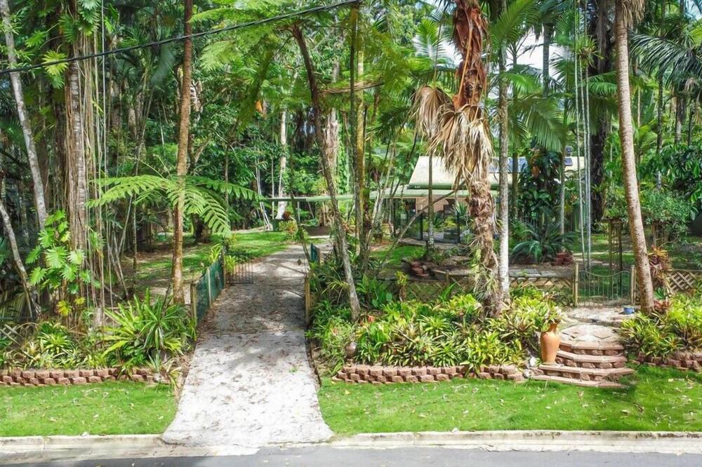 Photo of Outdoor in Kuranda