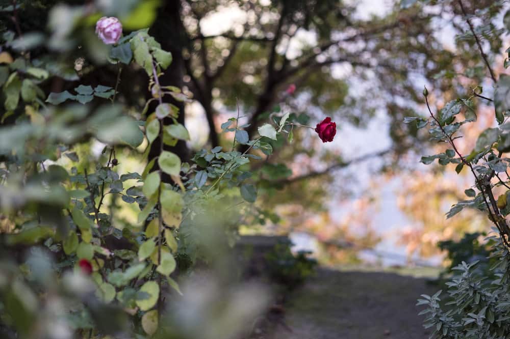 Photo of Outdoor in Manna