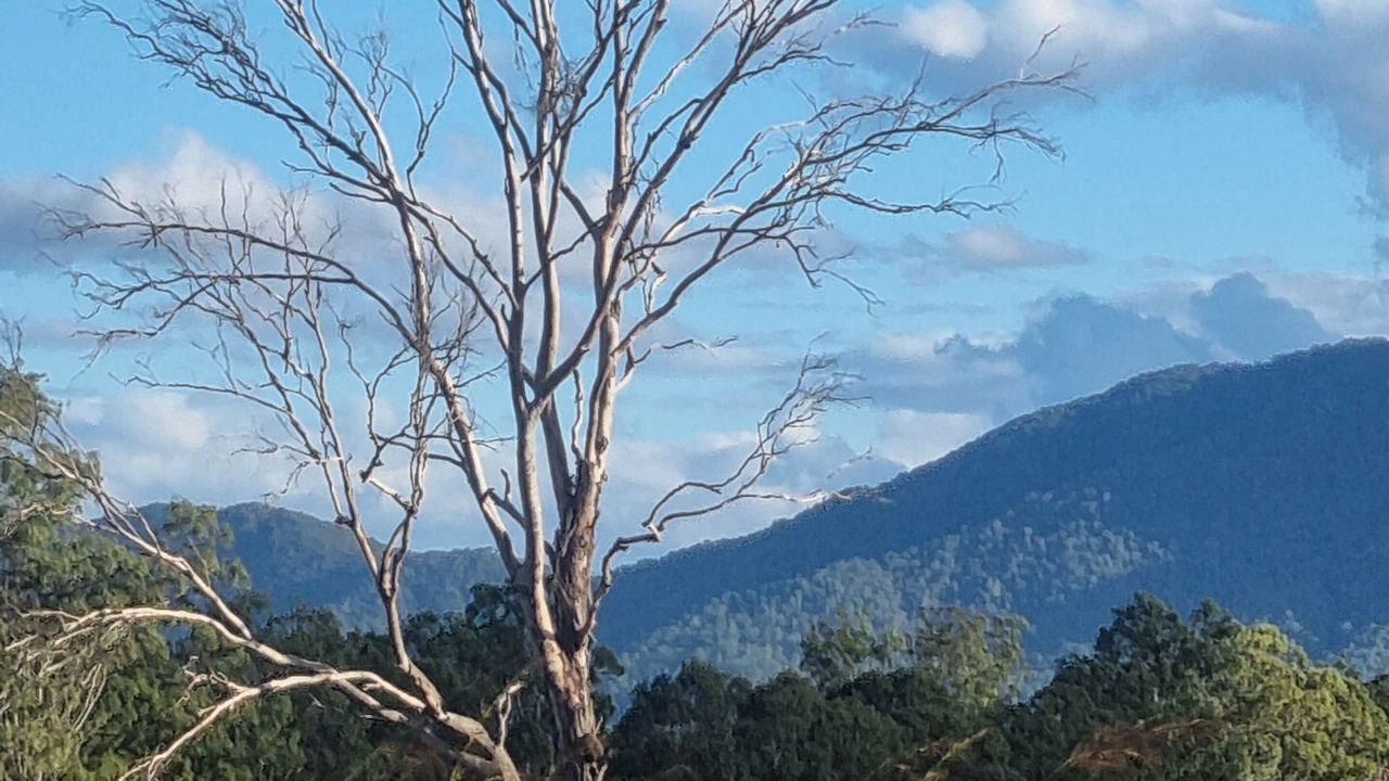 Photo of Outdoor in Bororen