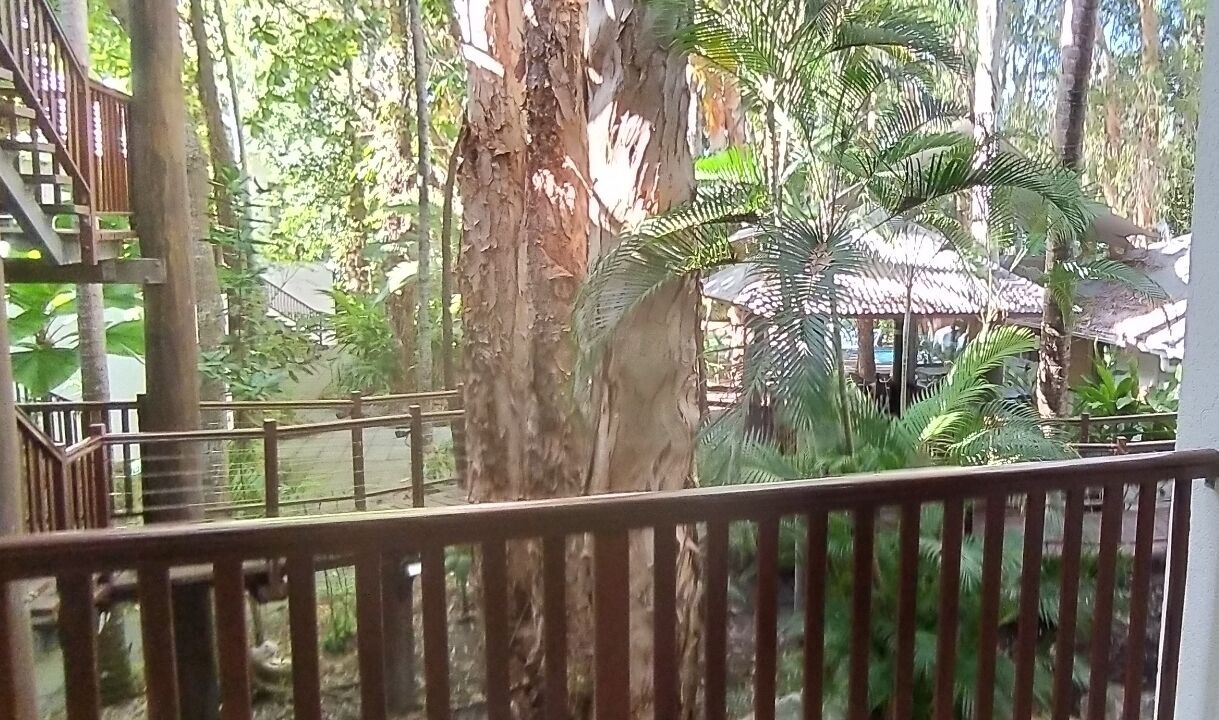 Photo of Outdoor in Palm Cove