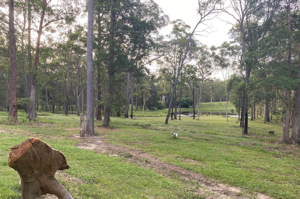 Photo of Outdoor in Landsborough