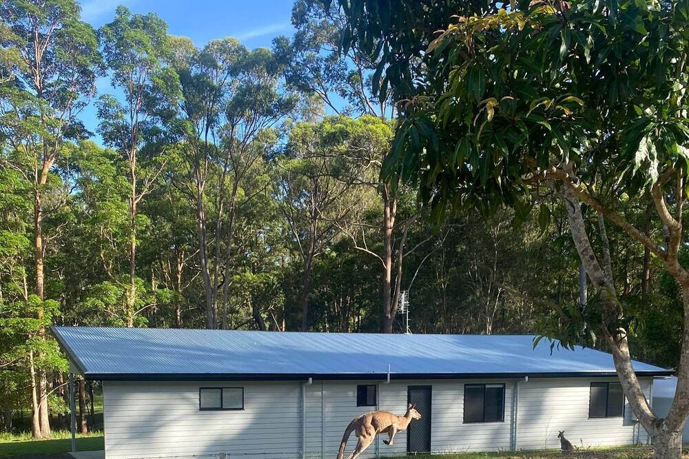 Photo of Others in Landsborough