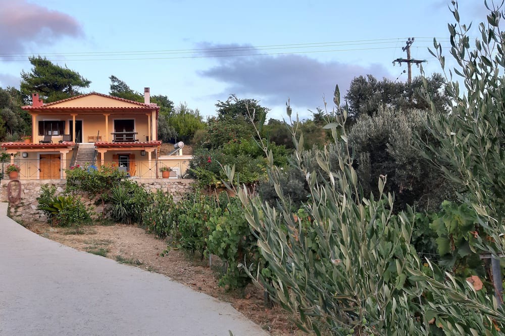 Photo of Outdoor in Sipiada