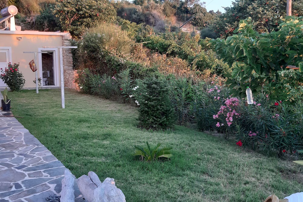 Photo of Outdoor in Sipiada