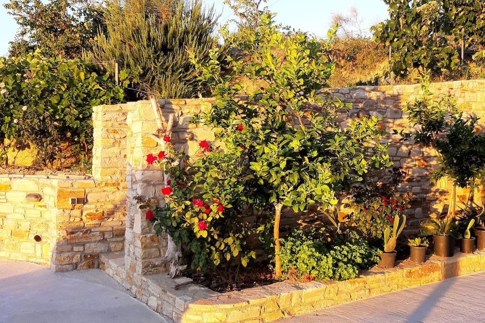 Photo of Outdoor in Sipiada