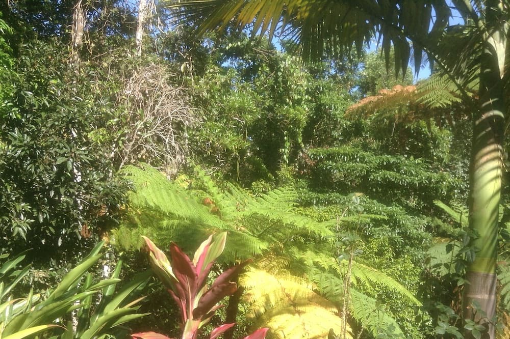 Photo of Outdoor in Kuranda