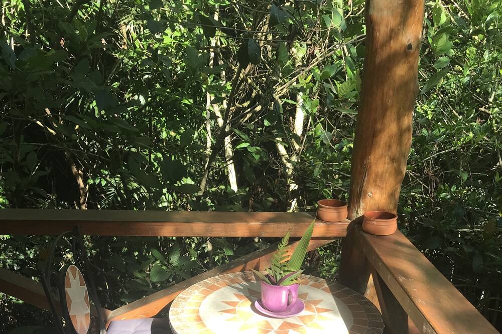 Photo of Outdoor in Kuranda