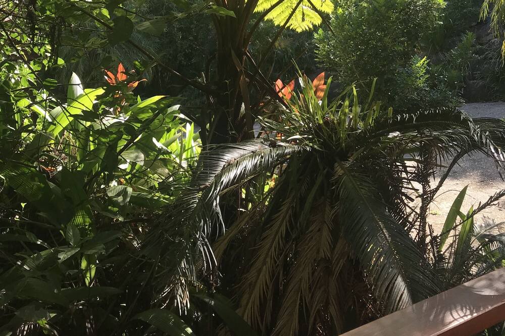 Photo of Others in Kuranda
