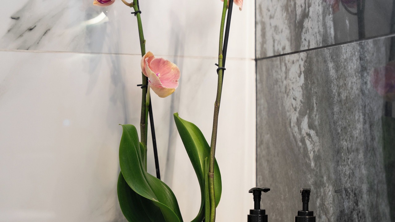 Photo of Bathroom in Nea Tirintha