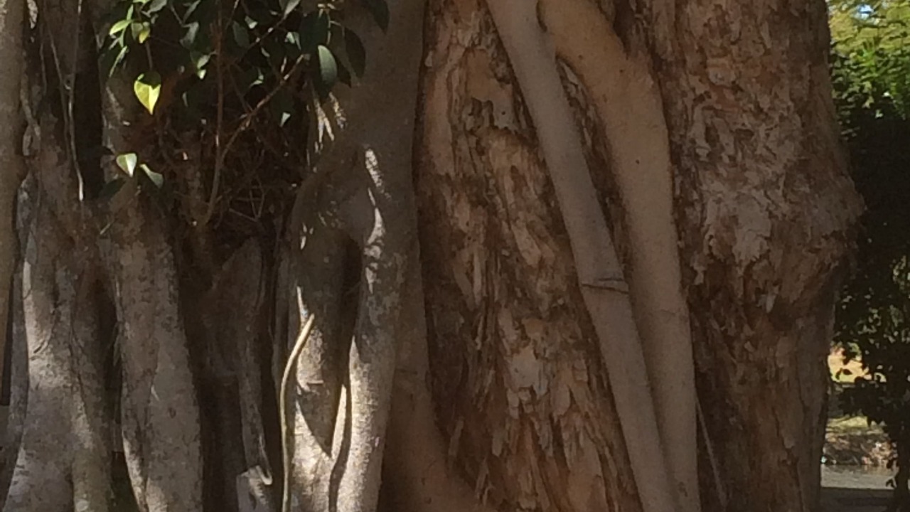 Photo of Outdoor in Urangan
