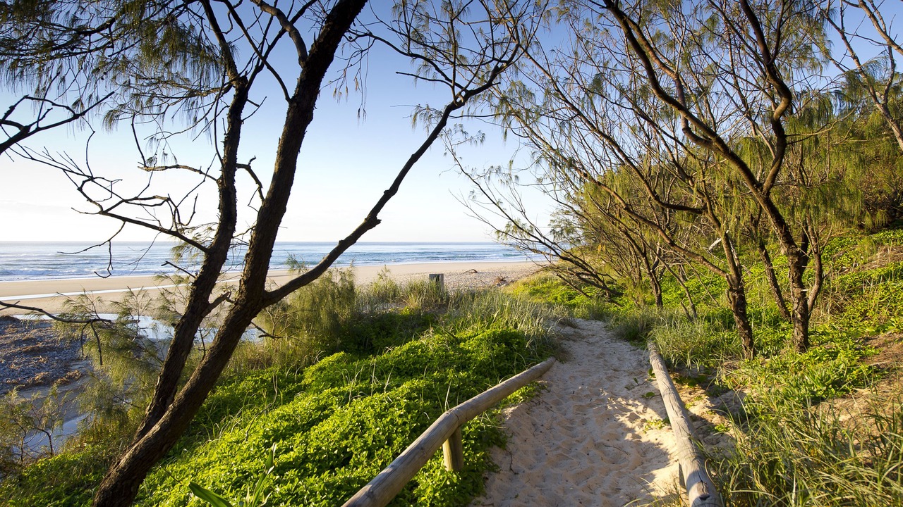 Photo of Others in Peregian Beach