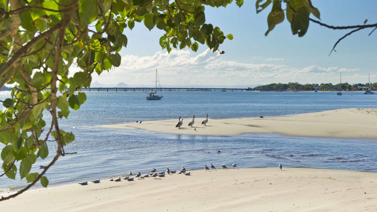 Photo of Others in Bongaree