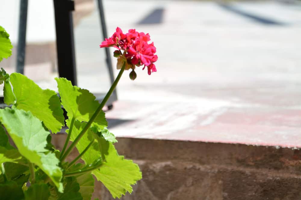 Photo of Outdoor in Rovies
