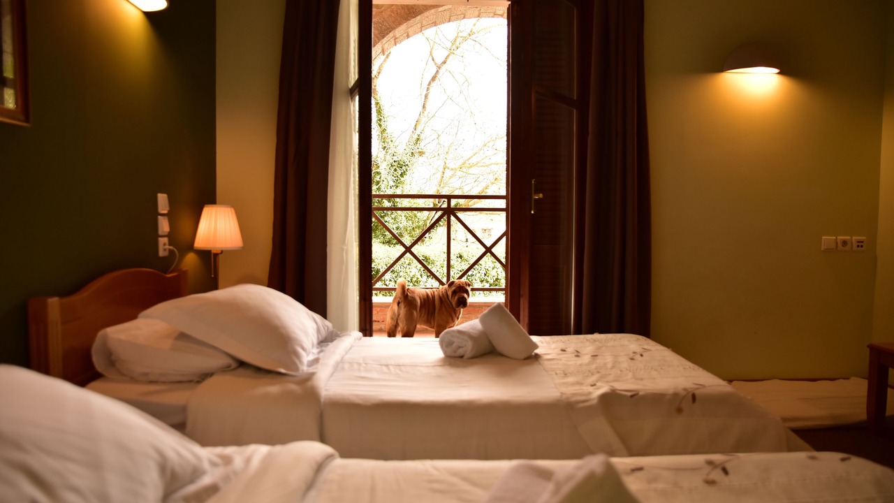 Photo of Bedroom in Klitoria