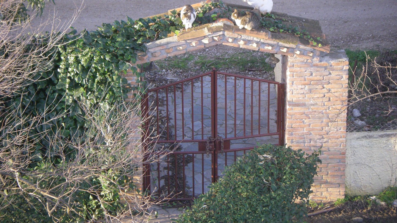 Photo of Outdoor in Kanatadika