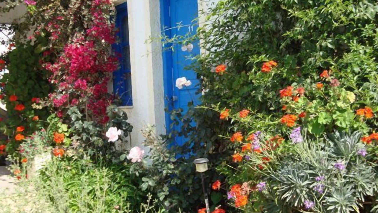 Photo of Outdoor in Agia Pelagia