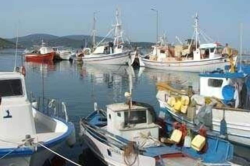 Photo of Others in Marmari