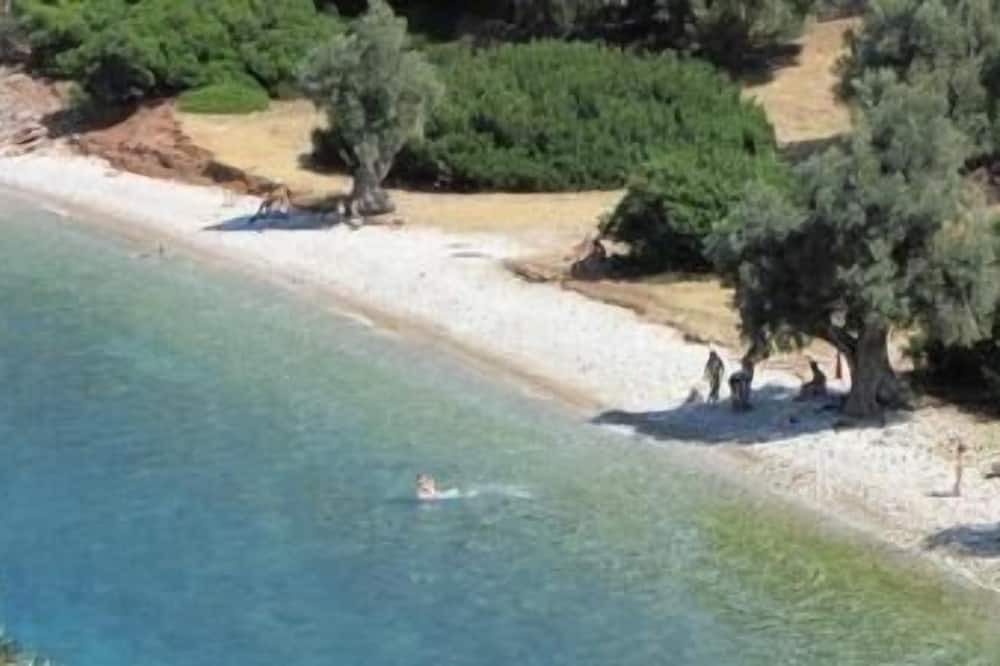 Photo of Others in Milina