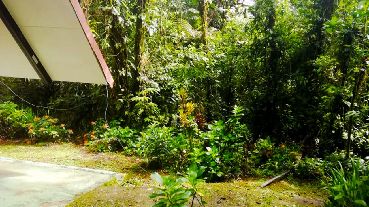 Photo of Outdoor in Miramar