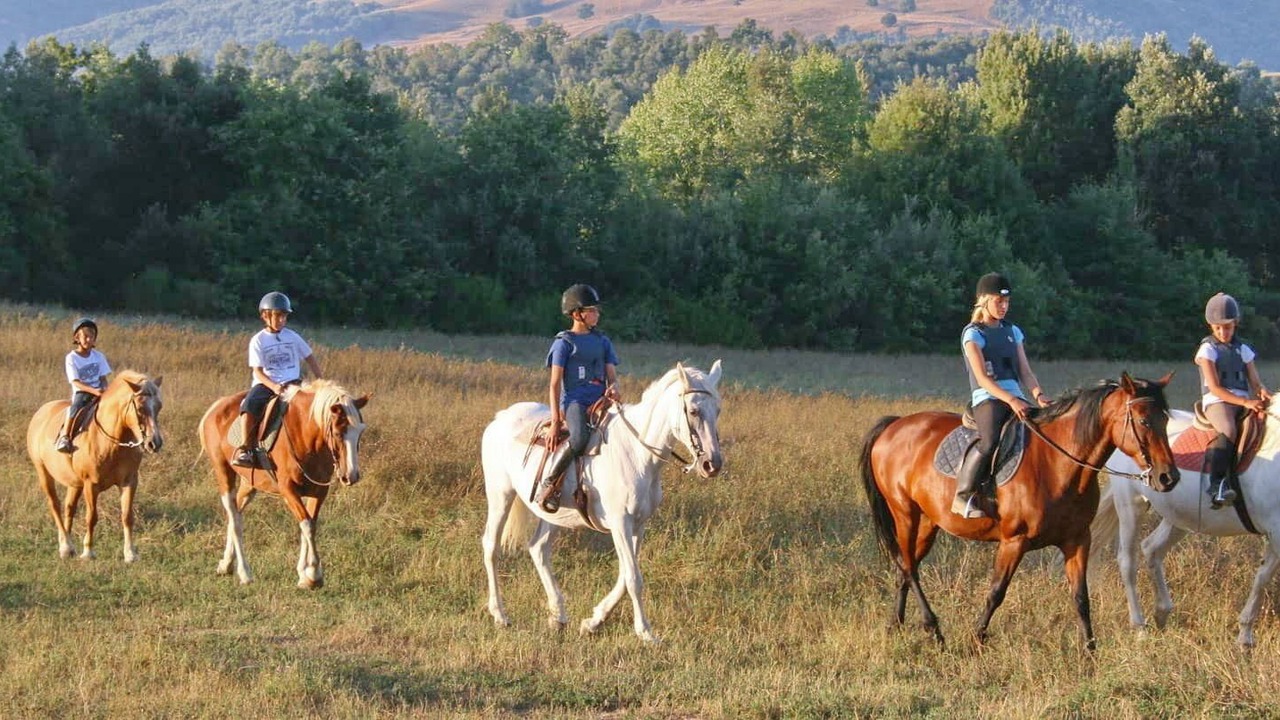 Photo of Others in Loutra Edipsou
