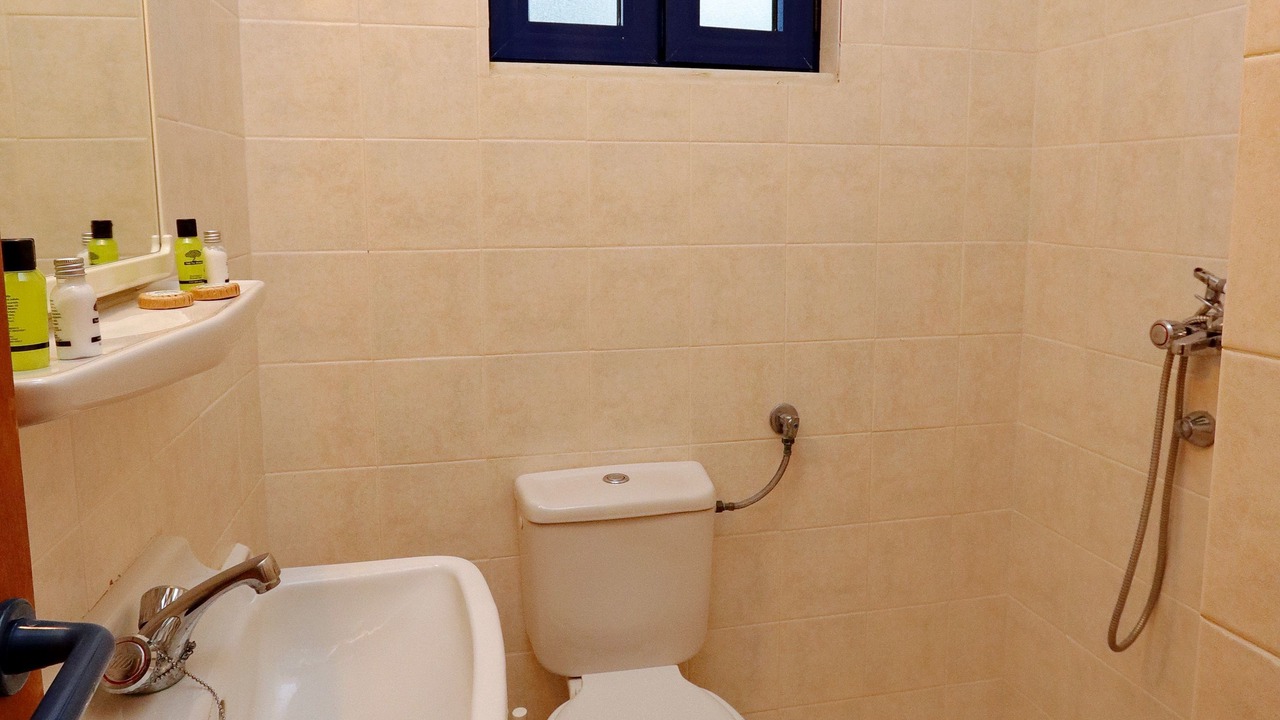 Photo of Bathroom in Loutra Edipsou