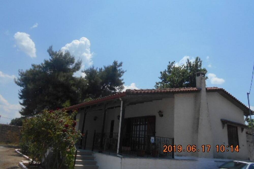 Photo of Outdoor in Aliartos