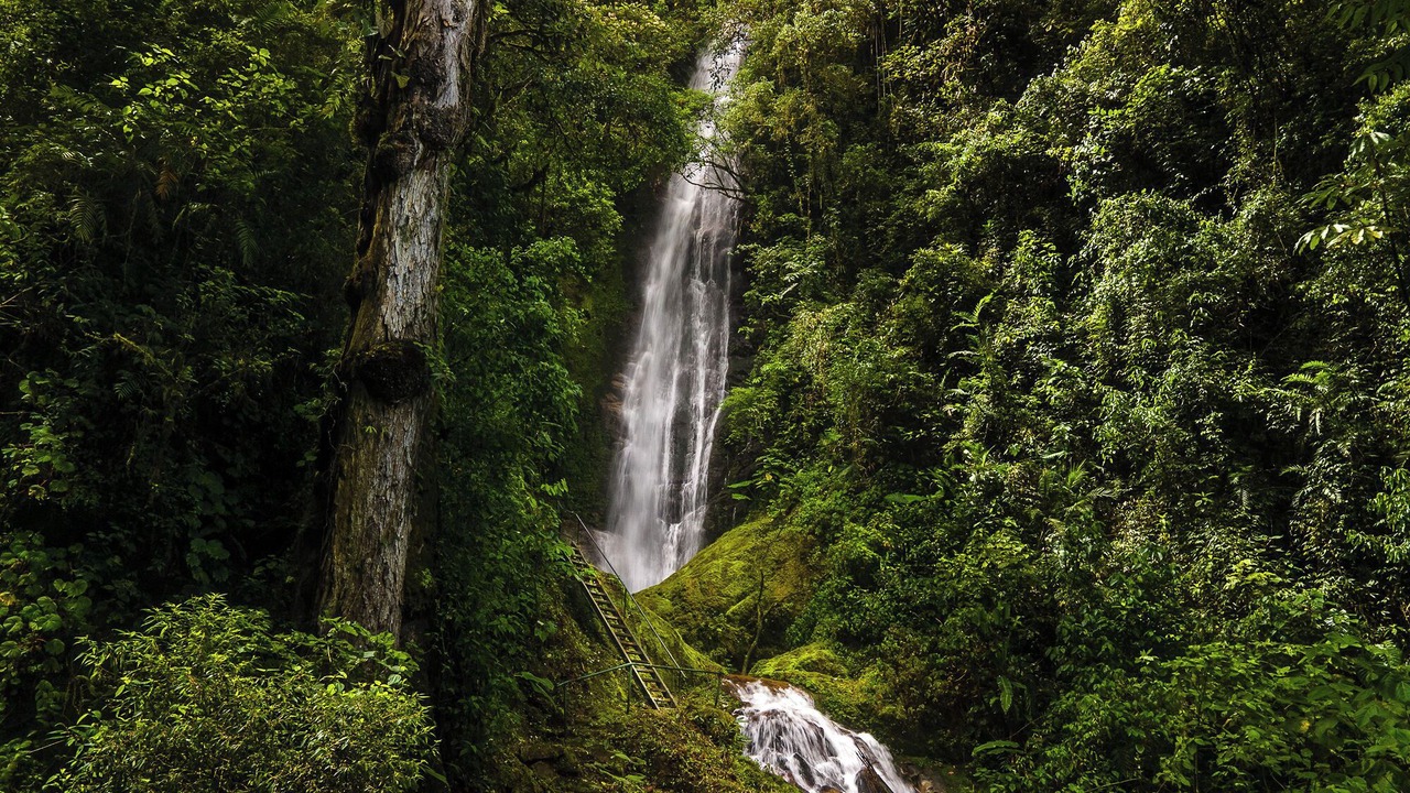 Photo of Outdoor in Rivas